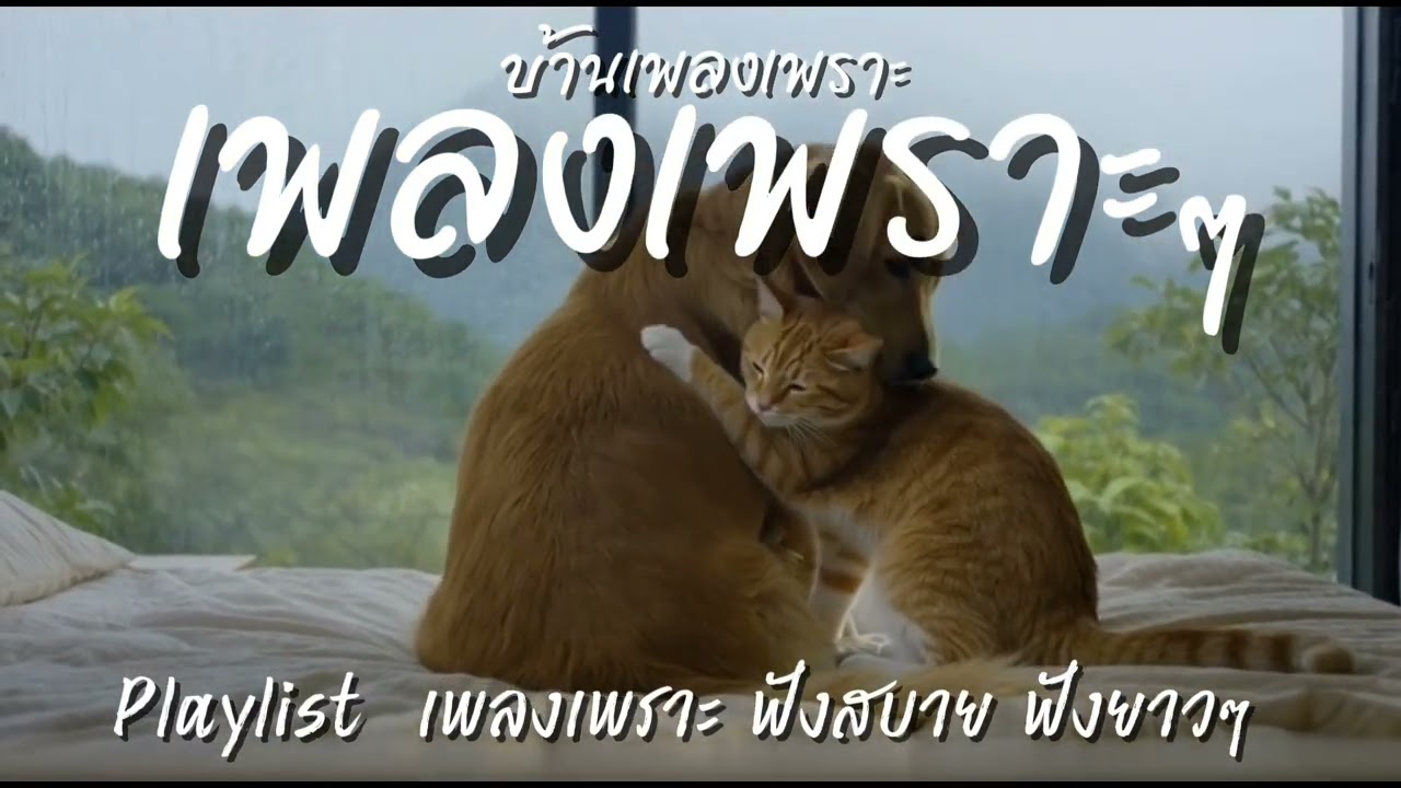 เพลงเพราะฟังสบาย | ทำงาน อ่านหนังสือ เพลงใหม่ล่าสุด 2025 ไม่มีโฆษณา EP.74 | 1 ชั่วโมงเต็ม