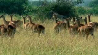 Geonji Soft Company Public Relations movie screenshot 4