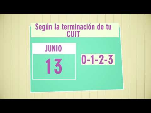 ¿Cómo son los
