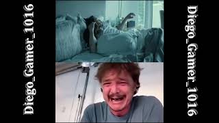 pedro pascal llorando con john wick
