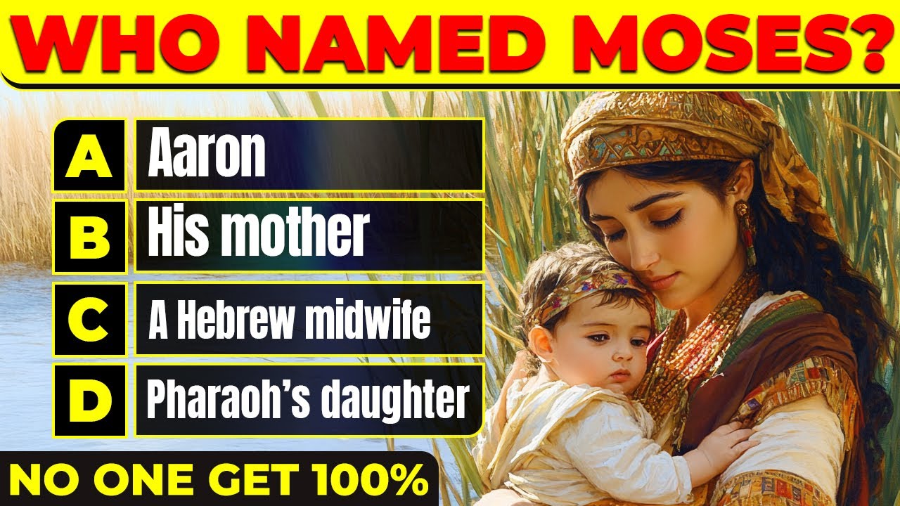 25 Bible Questions About the Old Testament To Test Your Knowledge  Bible Quiz  Easy, Medium, Hard