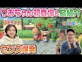 【あつ森】りおちゃんの島を紹介してもらったらセンスがスゴすぎました