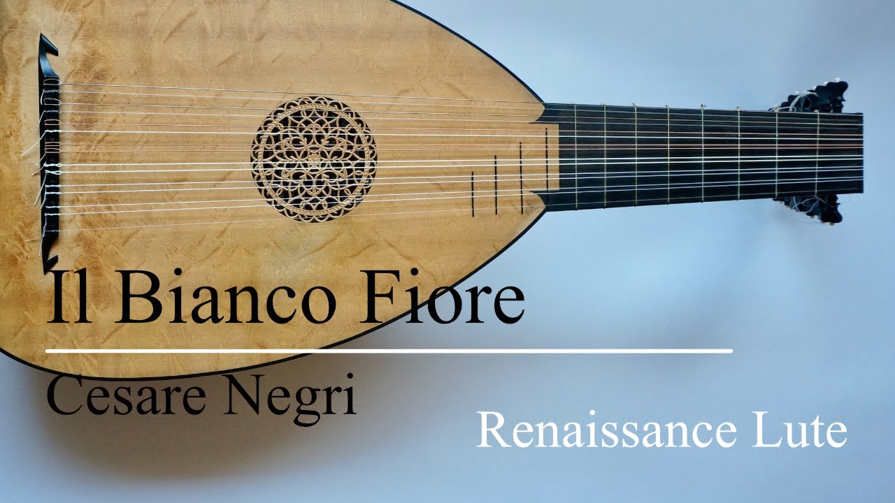 Il Bianco Fiore - Negri【Renaissance Lute リュート】