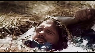 Never Leave Alive 2017 Wilderness Quicksand