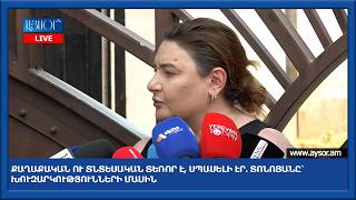 Քաղաքական ու տնտեսական տեռոր է, սպասելի էր. Տոնոյանը՝ խուզարկությունների մասին
