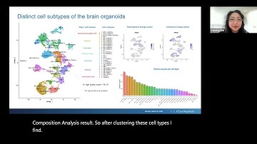 Molecular mechanisms of 8p disorders, based on single nuclei RNA-seq profiling of brain organoids