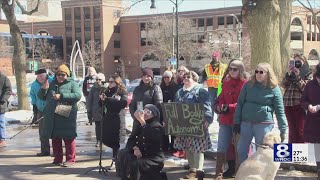Rochester organizations gather for rally to protect abortion pill access