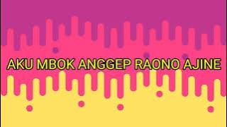 Karaoke YO WIS SAK KAREPMU || Zain Pengamen nDeso