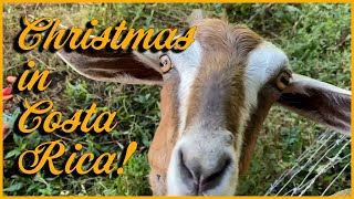 Christmas in Costa Rica