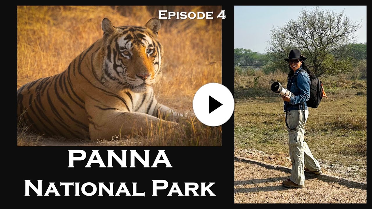 PANNA NATIONAL PARK