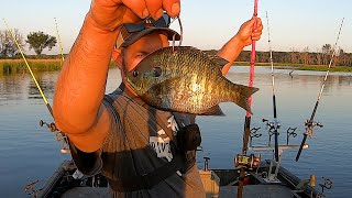 Catching GIANT Flatheads on a REMOTE River!!