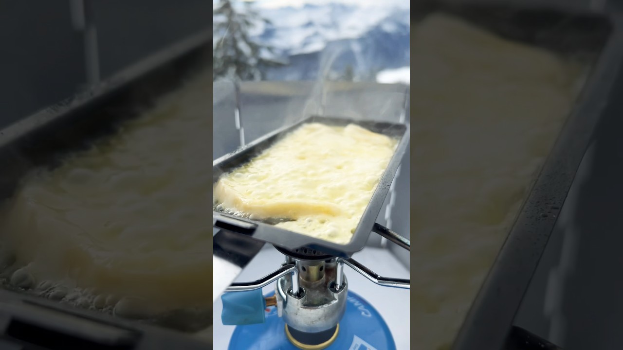 Swiss 🧀 Cheese 🫕 