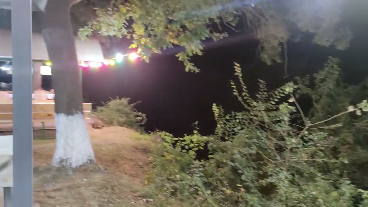 Nabranda Yenot ailəsi ilə birlikdə istirahət!