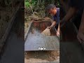 This is how ancient people used to extract gold #bushcraft #nature #interesting