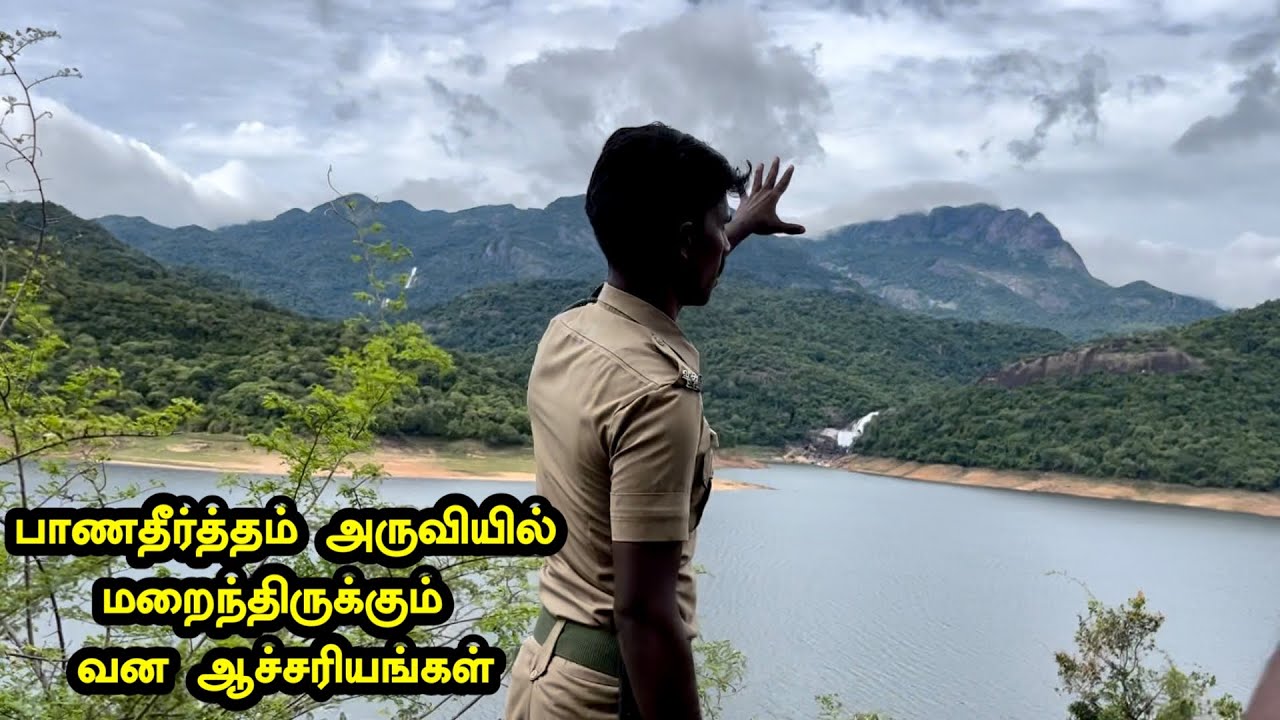 பாணதீர்த்தம் அருவியில் மறைந்திருக்கும் வன ஆச்சரியங்கள் | KMTR | Tenkasi Life