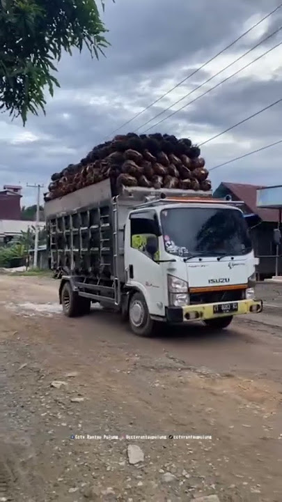 story truk sawit #storytruk #driver #trukquote #truk_mbois #storytime #ttuksawit