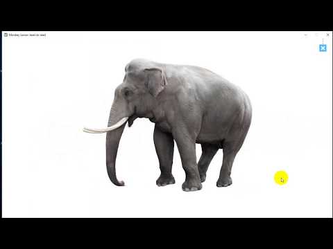Video Bé học tiếng anh qua hình ảnh sinh động 02_ Monkey... - YouTube