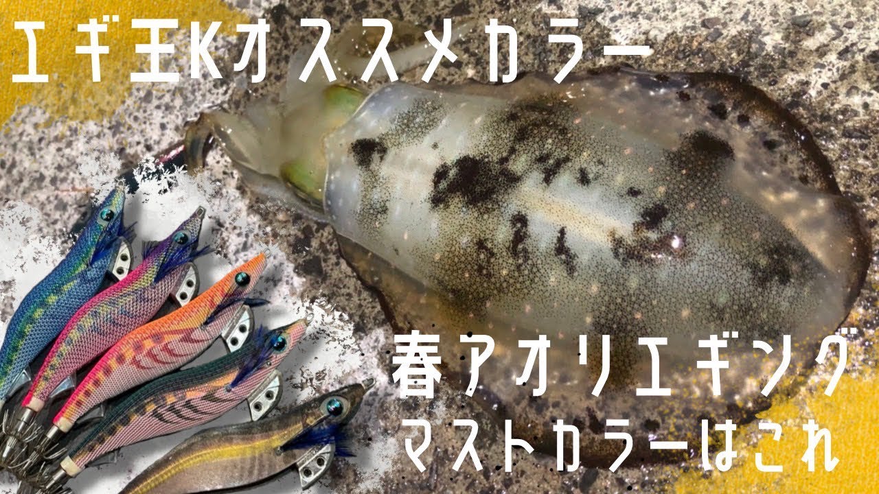 春アオリイカ直前！！オススメのエギ王Kを紹介します！！必要な