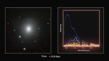Time-lapse sequence of kilonova images and spectra