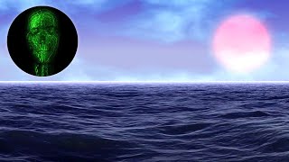 Expanse - David OBrien - Chilled progressive rock