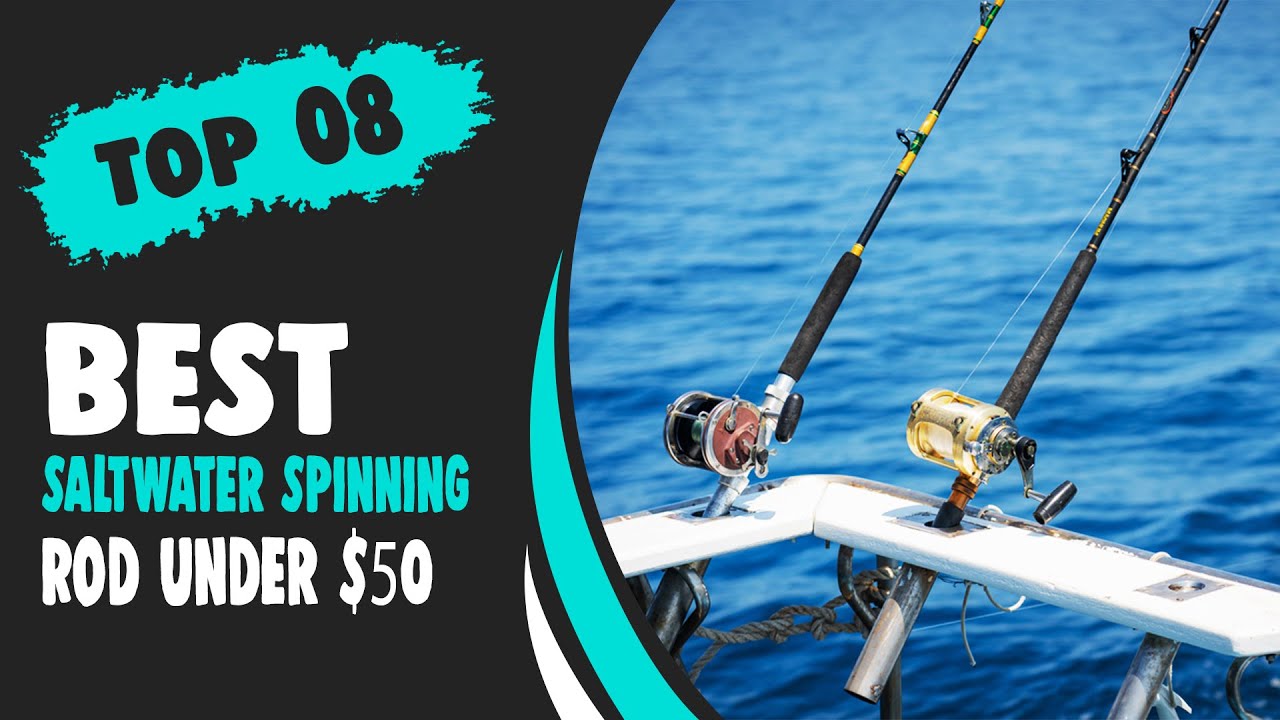 Best Saltwater Spinning Rod Under 50 – Top Products Guide! 