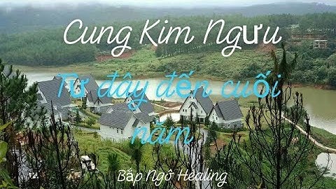 🌽 Cung Kim Ngưu : Dự đoán tổng quan từ đây đến hết năm 🌽