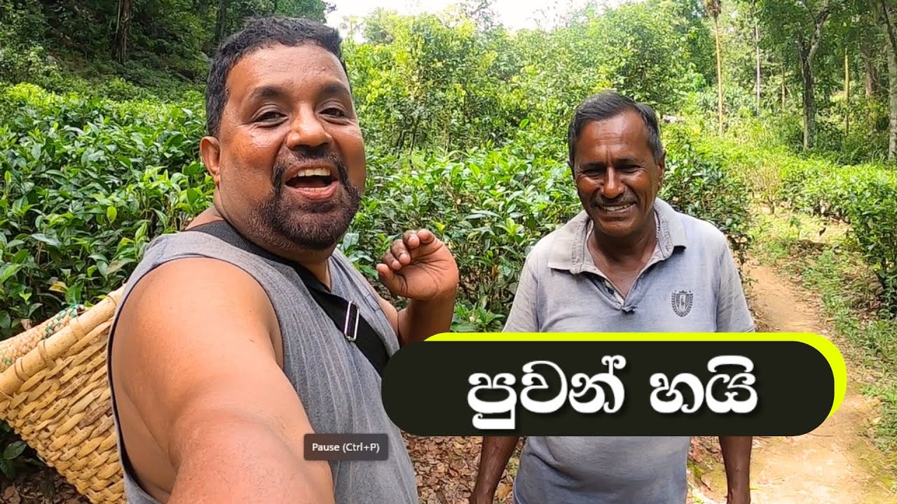 ඔන්න අද පුවන් හයි හදල කෑව  | Puwan hai Cooking and eating | Bempi