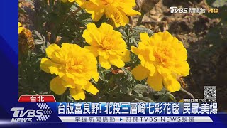 台版富良野! 北投三層崎七彩花毯 民眾:美爆｜TVBS新聞
