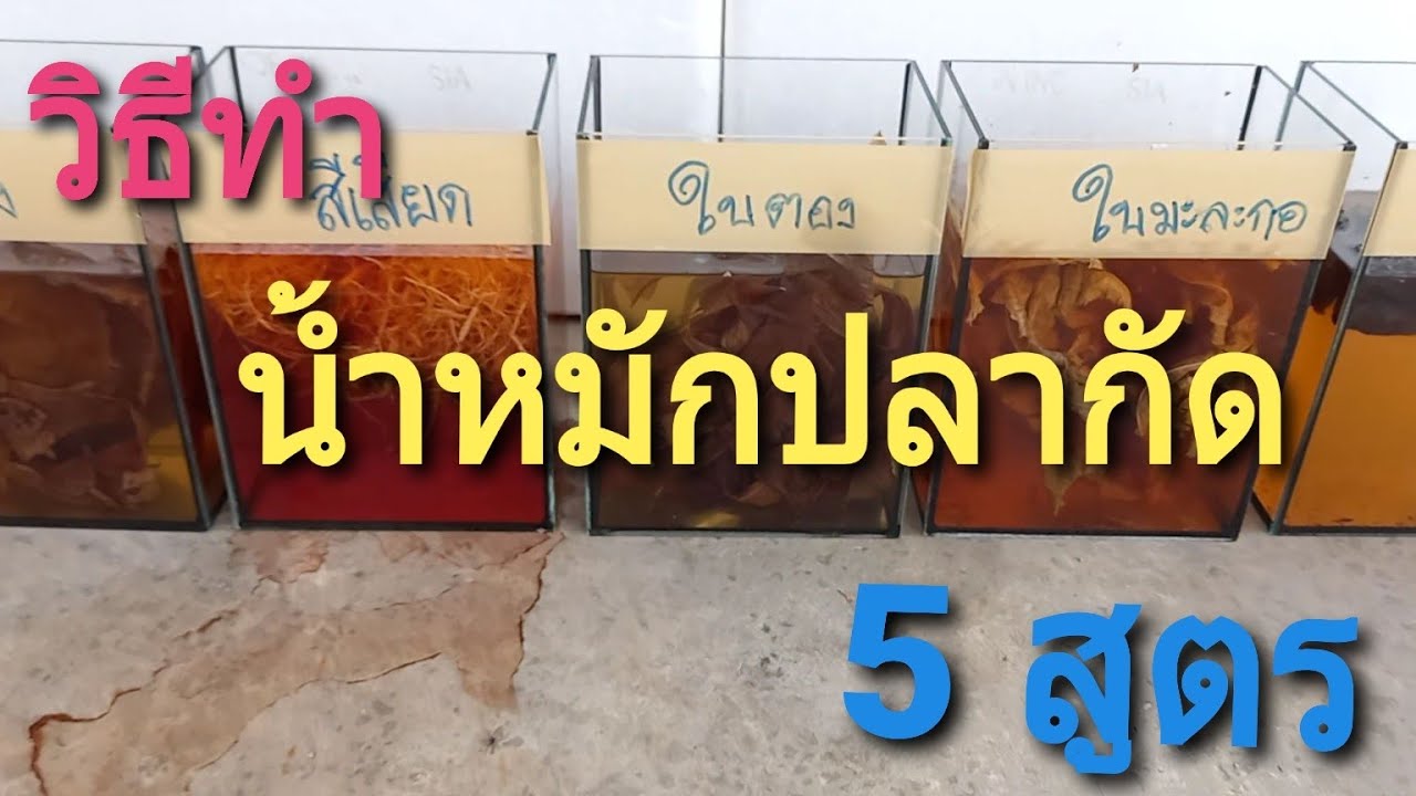 วิธีทำ น้ำหมักปลากัด 5 สูตร