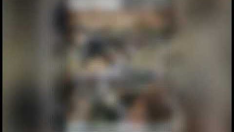 Delhi most wanted Rohit Chaudhary gang Ankit gujjar Vicky phelwan Rahul jaat Sunil tanwar