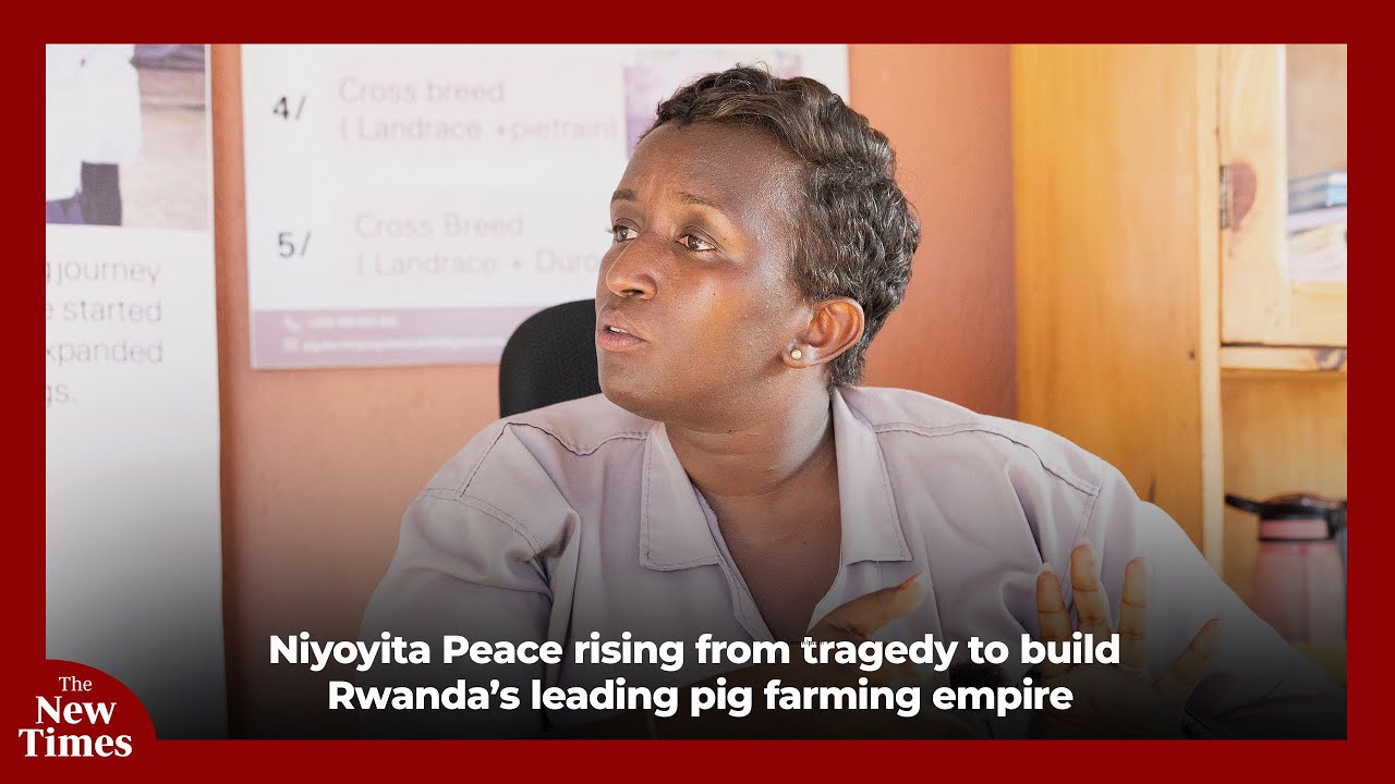 Niyoyita Peace rising from tragedy to build Rwanda’s leading pig farming empire