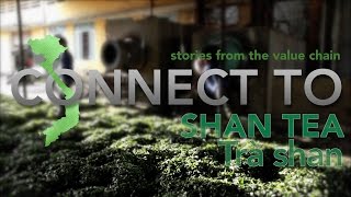 Connect To Shan Tea Processing
