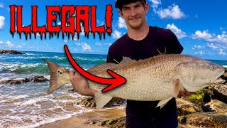 Eating the First (LEGAL) Fish I Catch In Saltwater! (Catch and Cook)