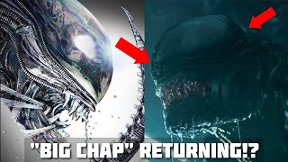 Will BIG CHAP Return in Alien Romulus?