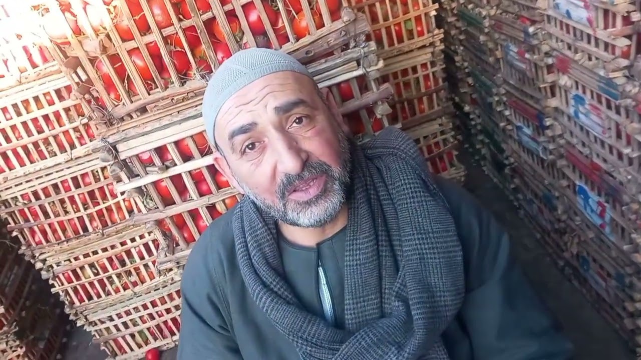 تانى يوم رمضان واسعار الخضار   نار  اخر المستجدات اليوم 