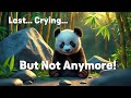 Tears Of A Lost Baby Panda Until This Moment Tears Of A Lost Baby Panda Until This Moment