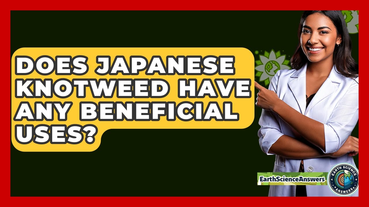 Does Japanese Knotweed Have Any Beneficial Uses? - Earth Science Answers