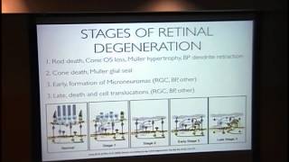 Seeing is Believing in retinal Regeneration [ARCHIVE]