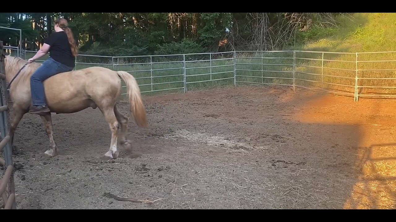 Spartas first ride at home