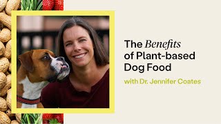 The Benefits of a Plant Based Diet for Dogs | Dr. Jennifer Coates | Wild Earth