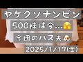 【株式投資･初心者🔰】ヤケクソナンピン500株は今.../今週の取引/今週のハス夫(4ヶ月のシベリアンハスキー)