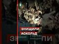 💪ЗНИЩЕНО російський ракетоносій Аскольд | ФОТО #еспресо #новини