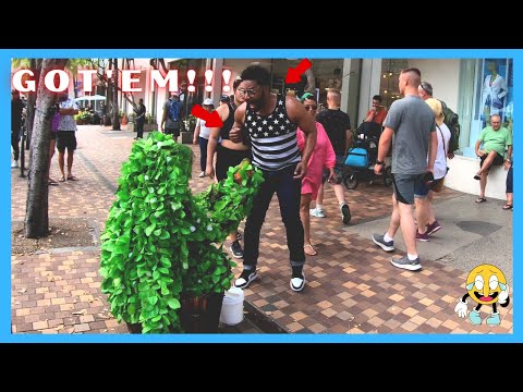 𝐁𝐔𝐒𝐇𝐌𝐀𝐍 𝐏𝐑𝐀𝐍𝐊 -