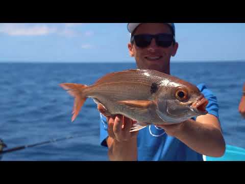A Caccia della Regina - Open Water ep. 2 - Cernia di Profondità con Pietro Marchi (Colmic)
