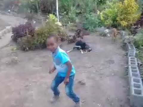 Picoti picota (official danse vidéo ) - Luciano