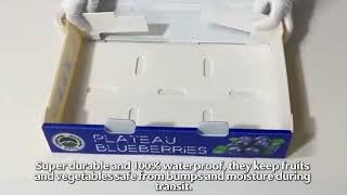Best Packaging for Fresh Produce! 🍎🥦 Custom & Waterproof 💧