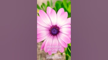 ماتيسر من سورة التكوير surat takouir quran