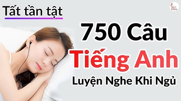 [TẤT TẦN TẬT]750 Câu Tiếng Anh Luyện Nghe Tiếng Anh Khi Ngủ | Lizenglish