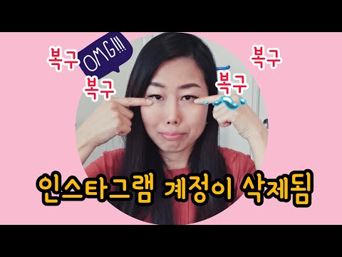 삭제된 인스타그램 계정 복구 치팅데이 VLOG 