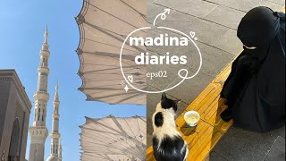 Moments In Madina That Altered My Brain Chemistry